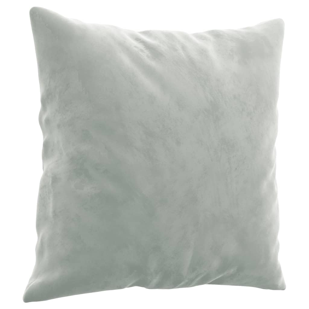 Light Gray Velvet 2 Piece Sofa Set with Throw Pillows I9931