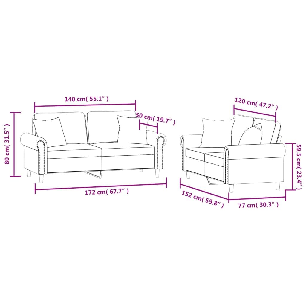 Light Gray Velvet 2 Piece Sofa Set with Throw Pillows I9931