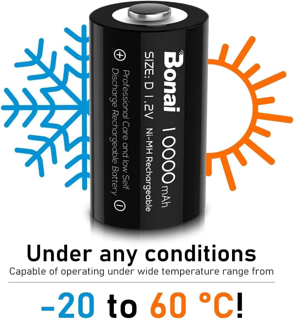 Rechargeable D Batteries 4 Pack Z46088