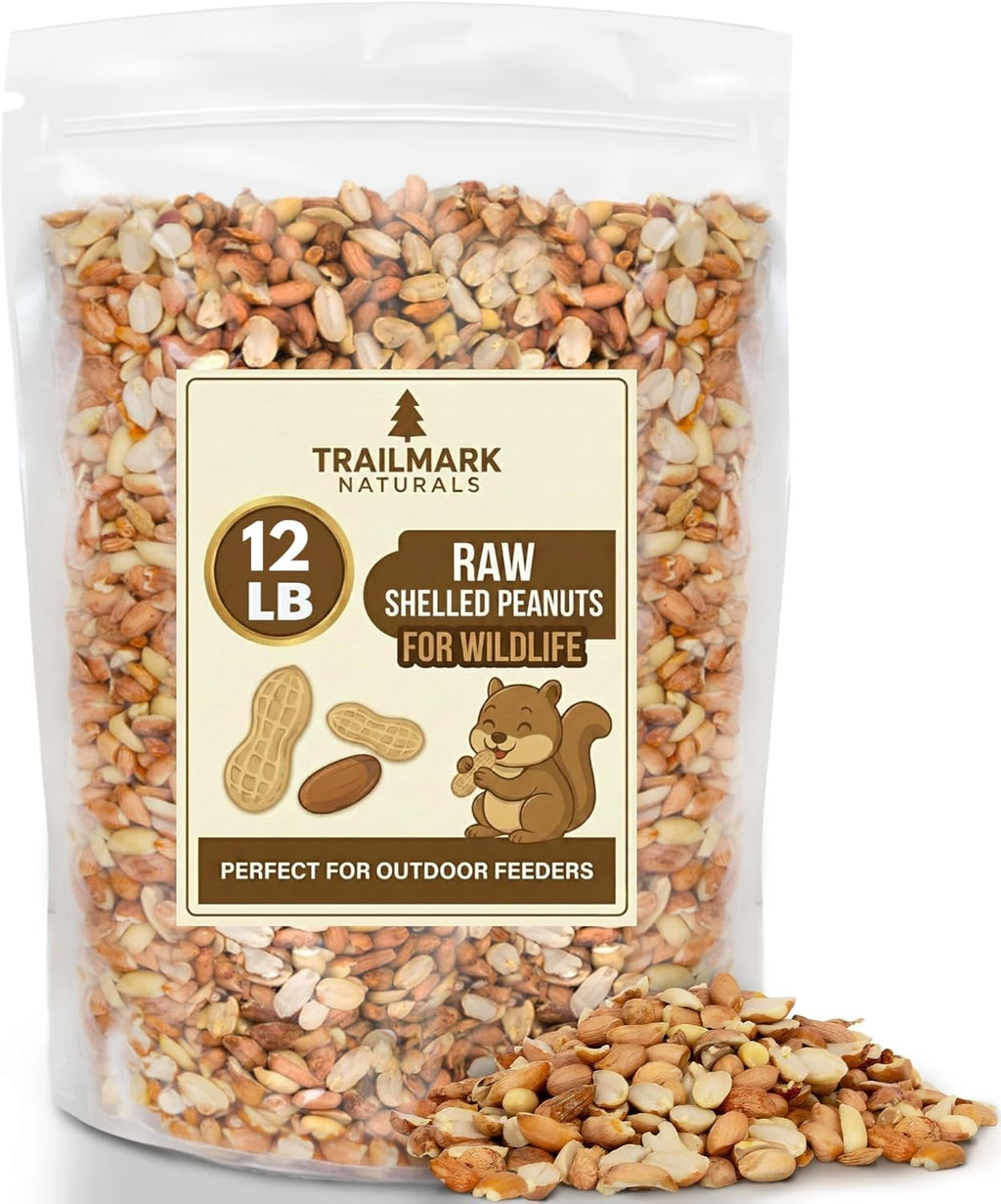 Raw Shelled Peanuts Y295276