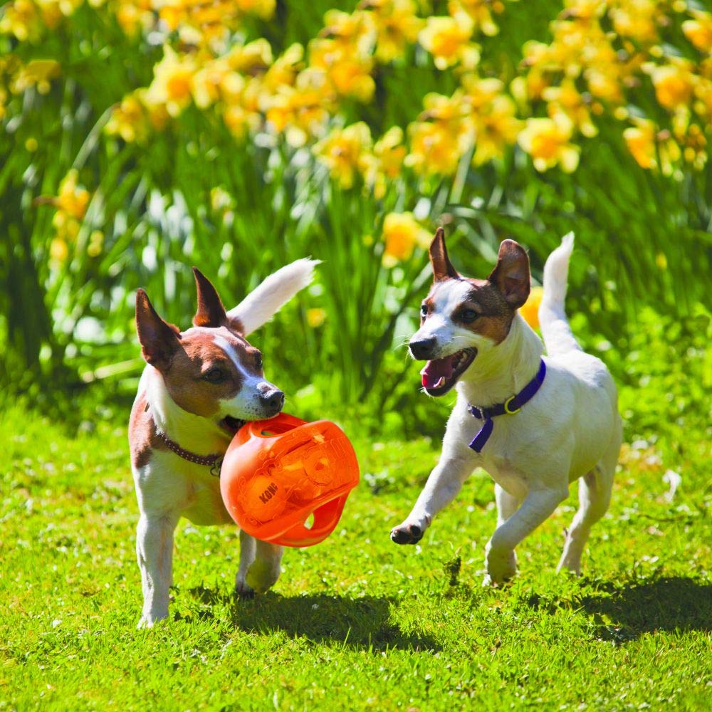 Interactive Fetch Ball for Medium Large Dogs S412257