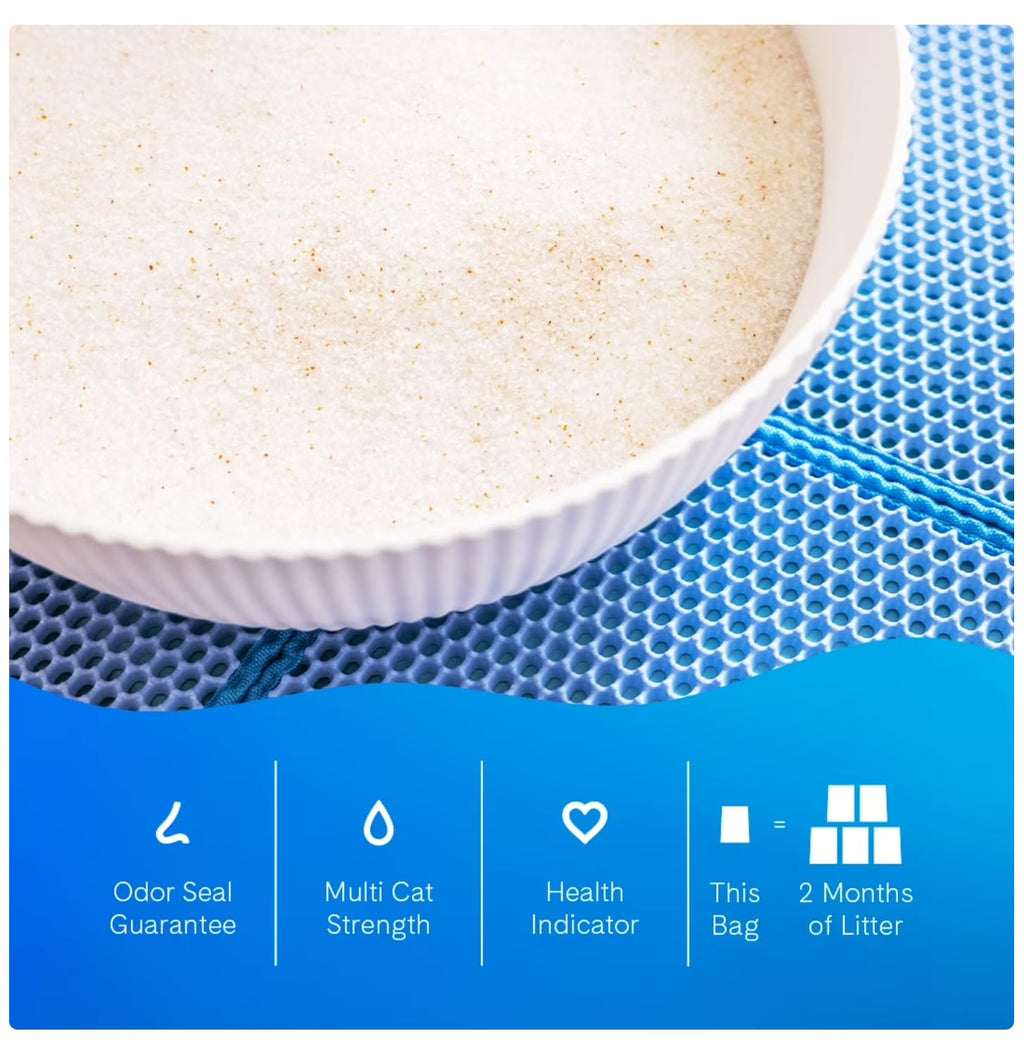 Unscented Non-Clumping Cat Litter J70175