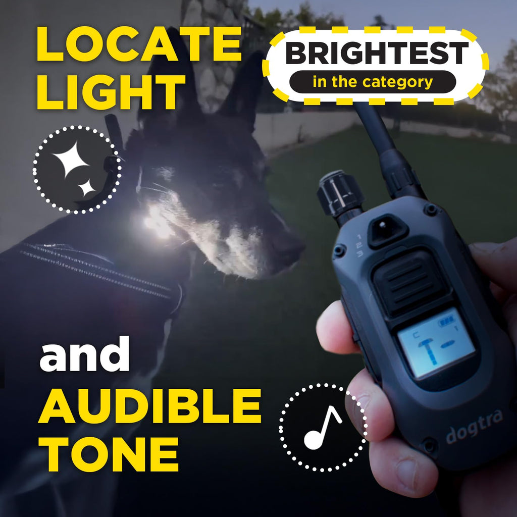 Waterproof E-Collar with Remote P44790