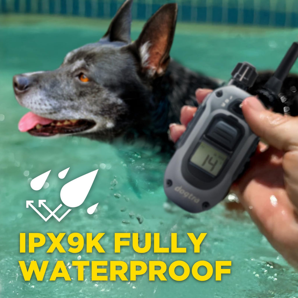 Waterproof E-Collar with Remote P44790