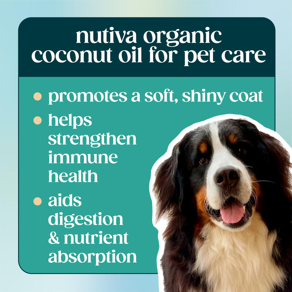 Organic Cold-Pressed Virgin Coconut Oil, 1 Gallon Y84734
