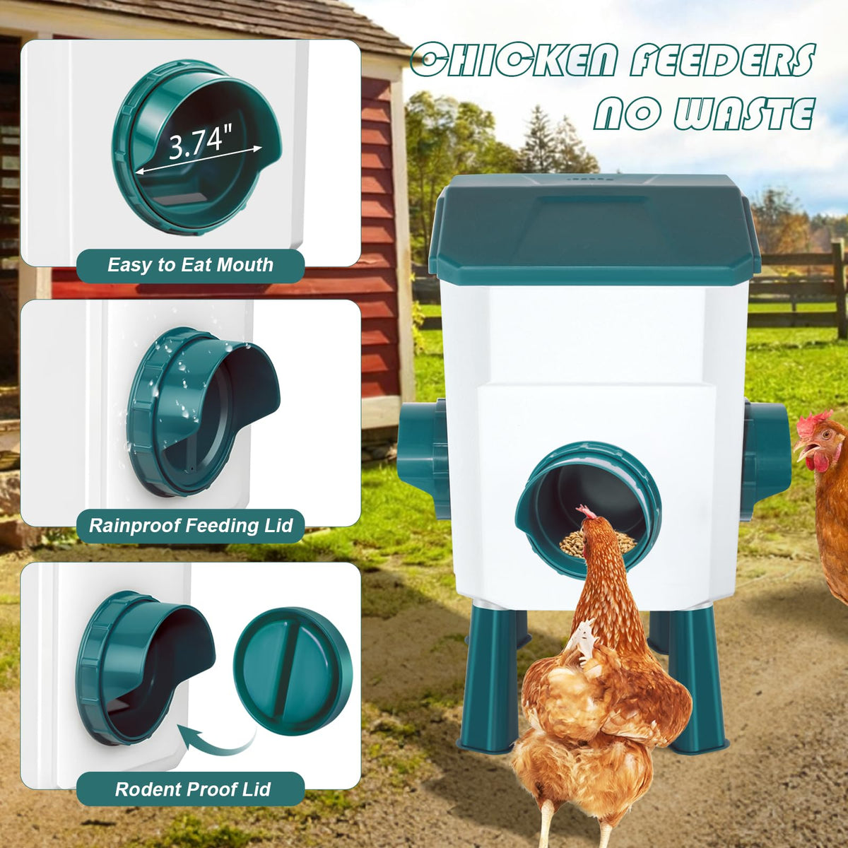 Chicken Feeder and Waterer Set 3 Gallon C605