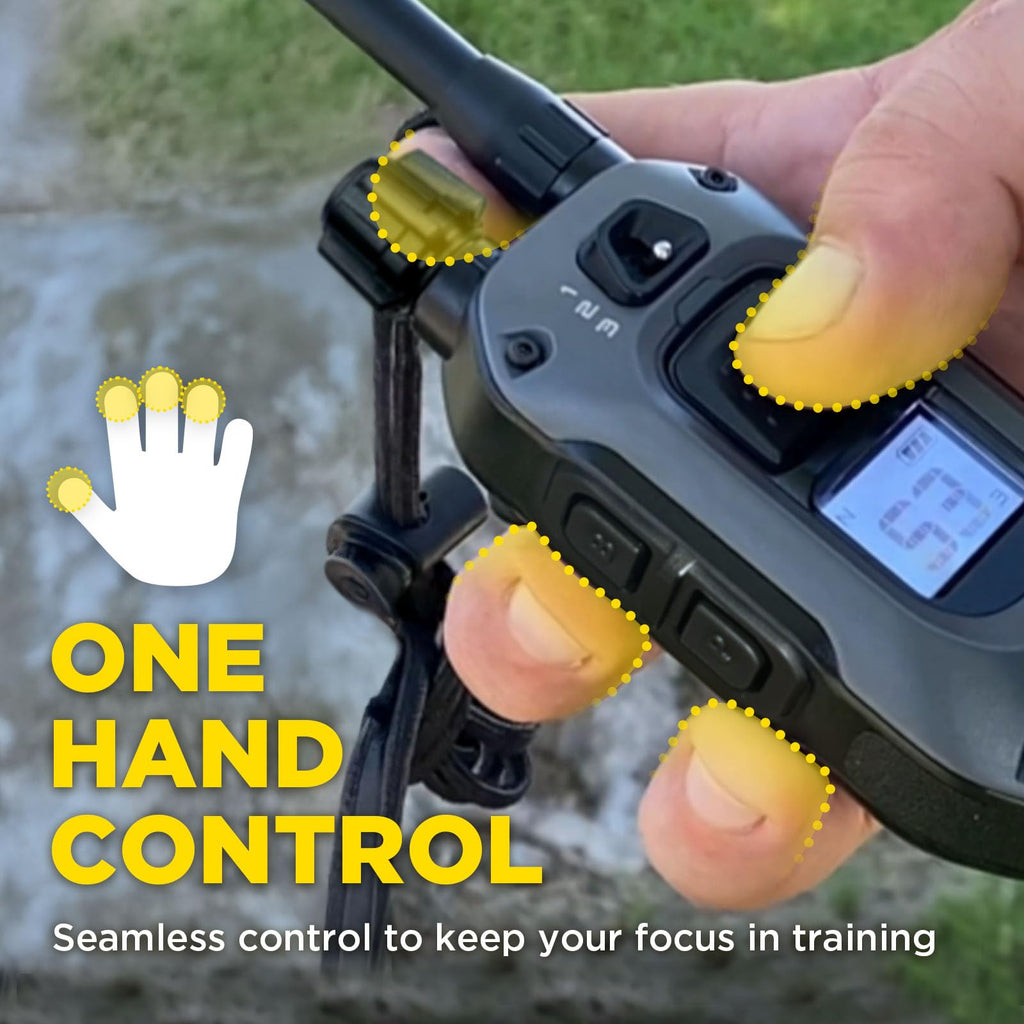 Waterproof E-Collar with Remote P44790