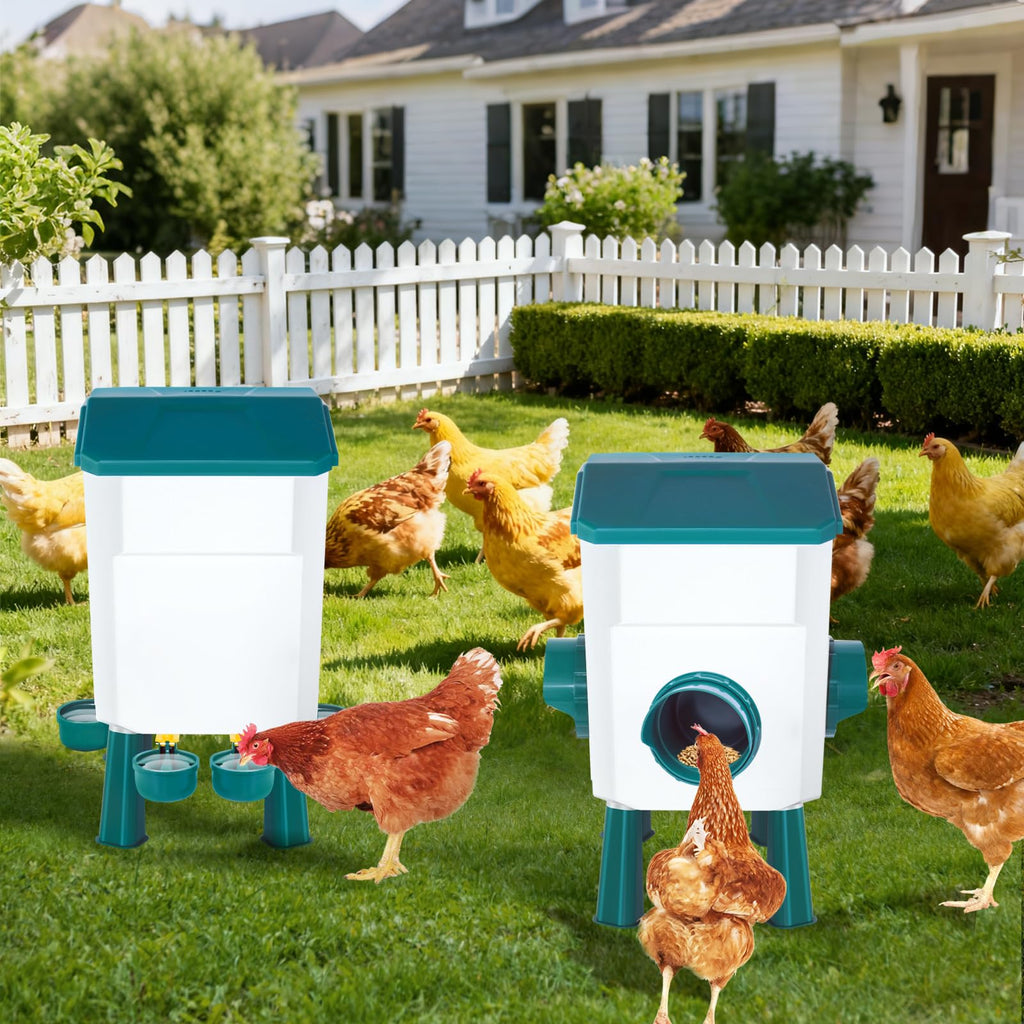 Chicken Feeder and Waterer Set 3 Gallon C605