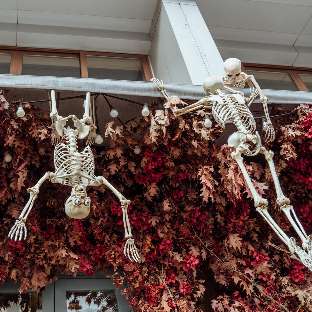 6 Pack Halloween Skeletons 3 5.4ft 3 3ft Y583