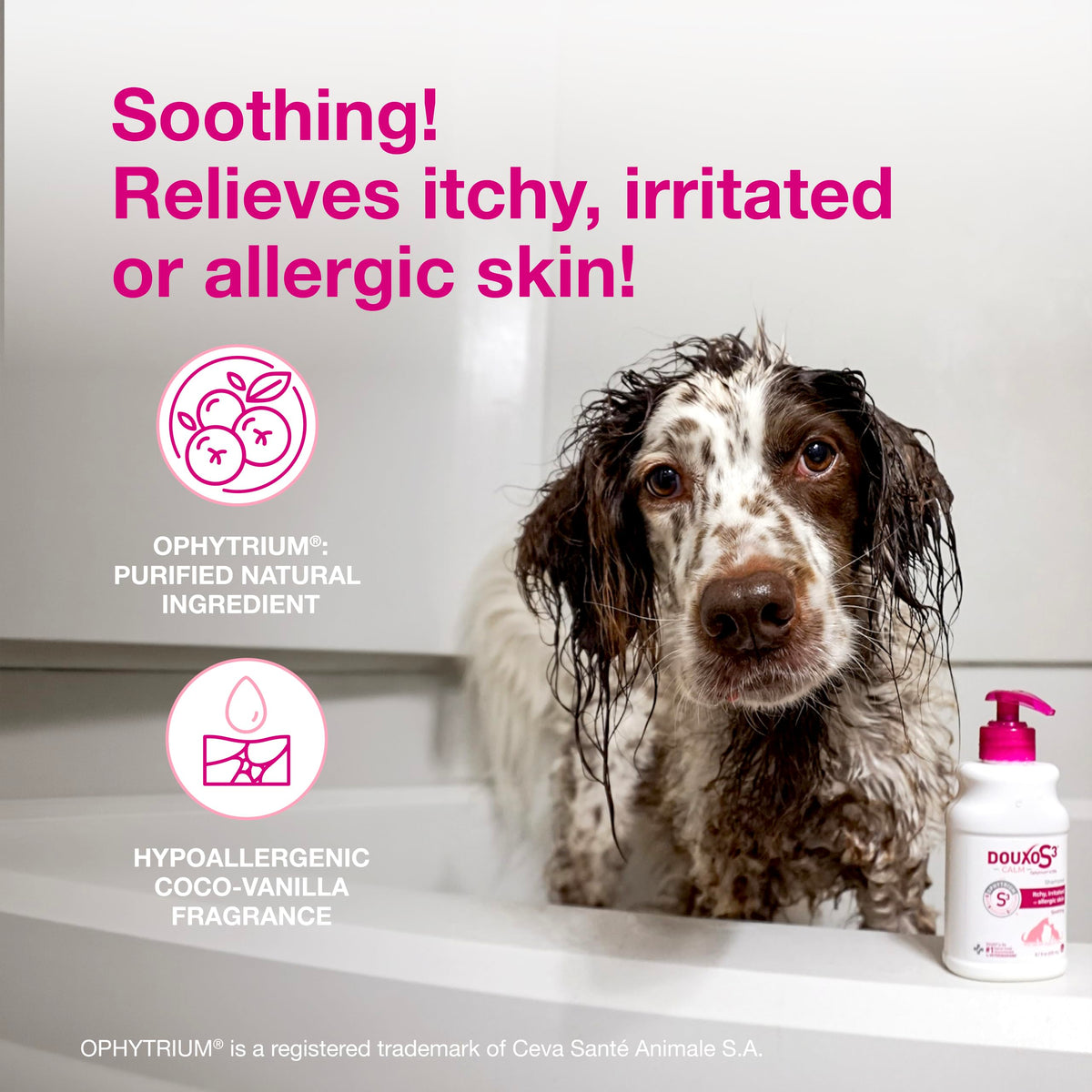 Dog Shampoo for Itchy Skin 6.7 fl oz S6974