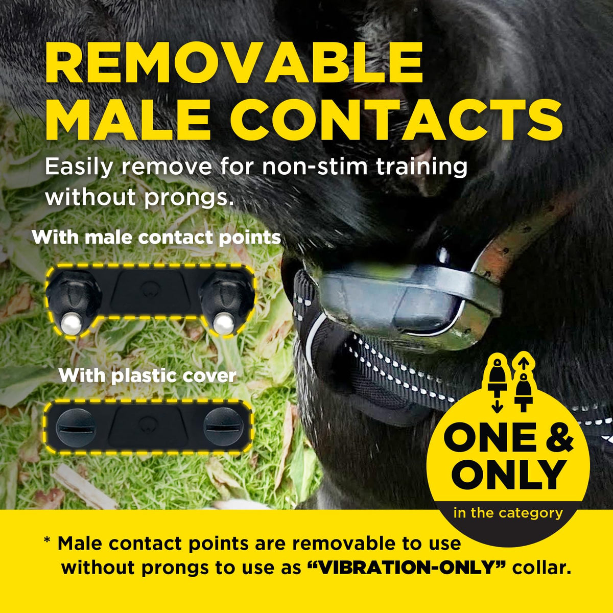 Waterproof E-Collar with Remote P44790