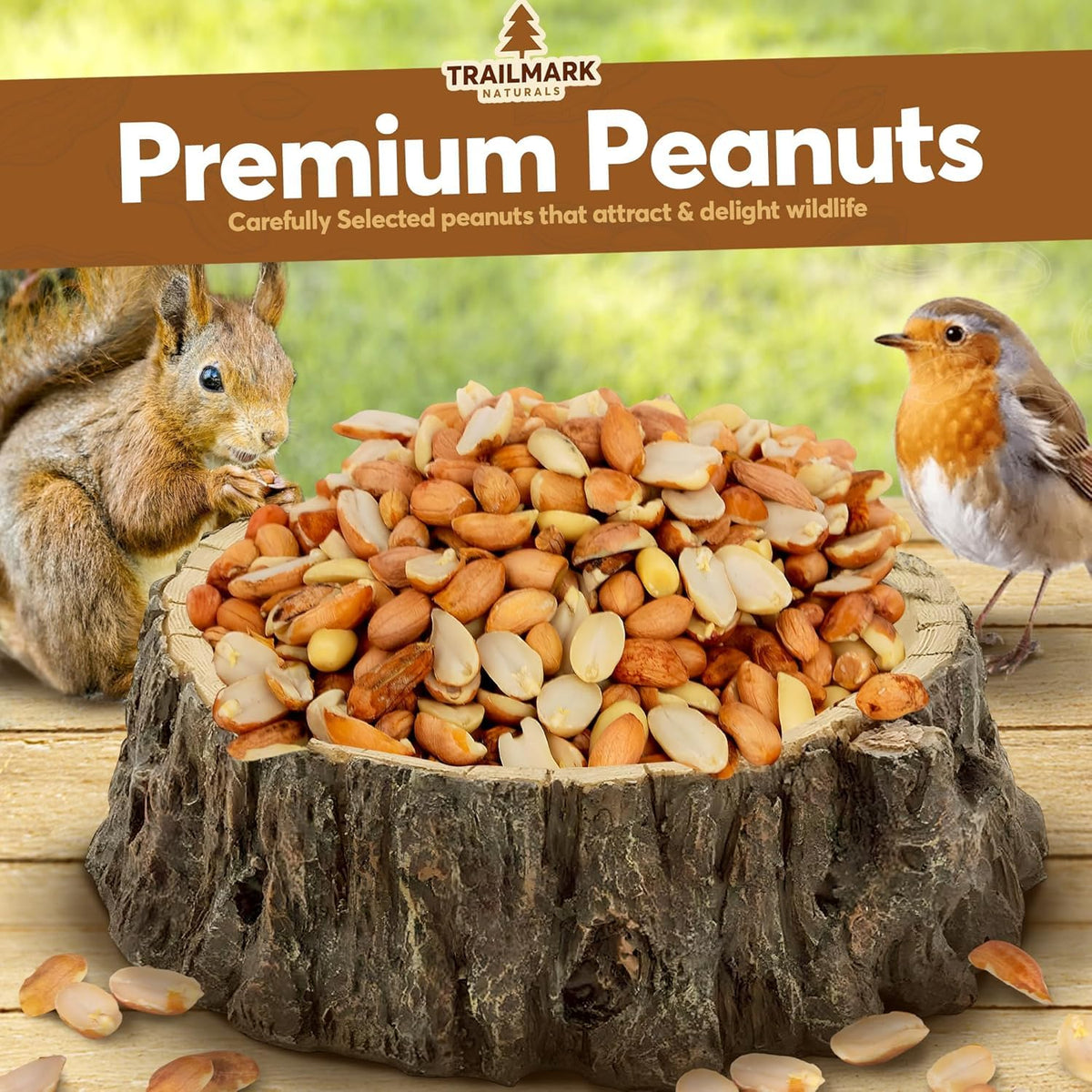 Raw Shelled Peanuts Y295276