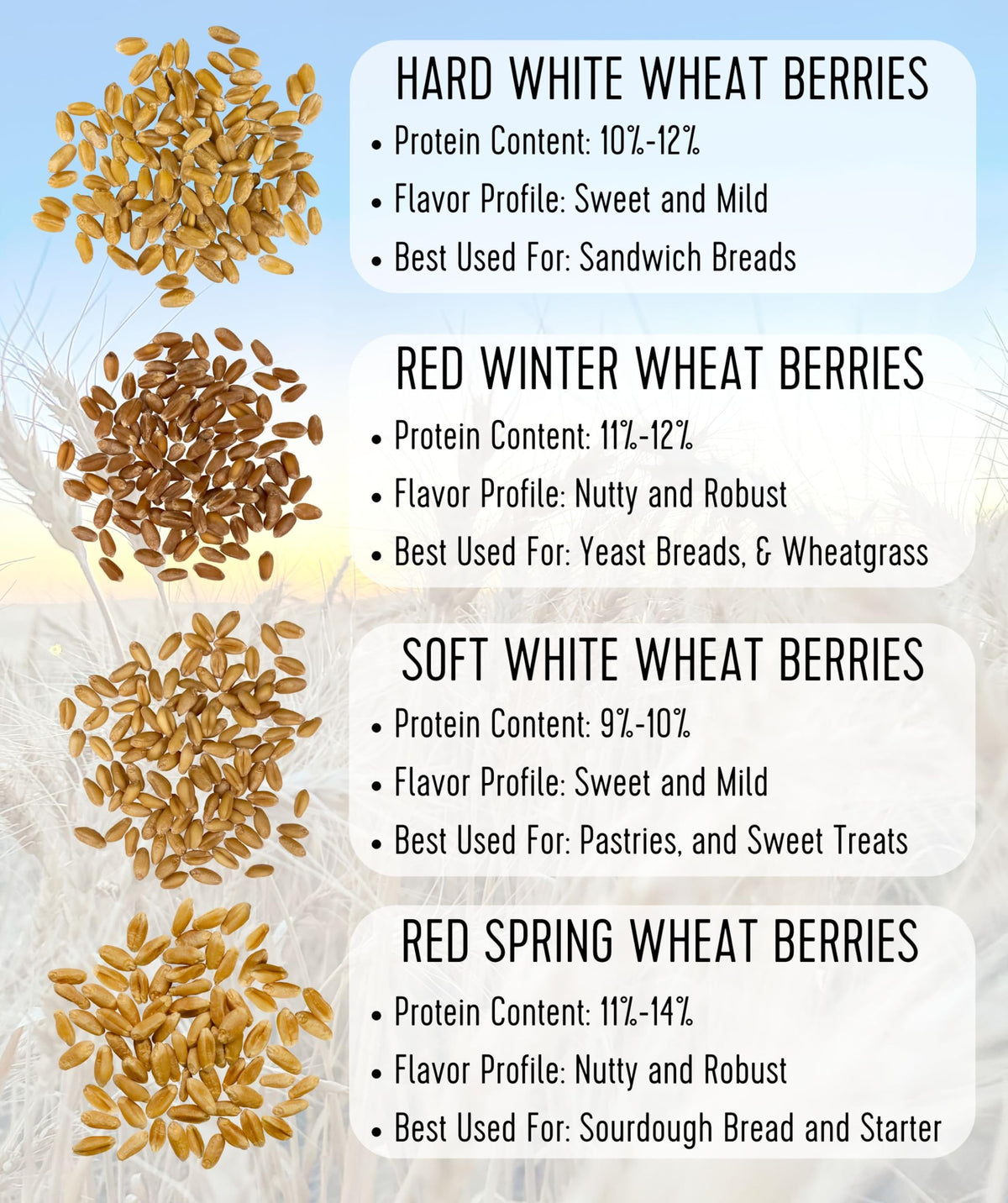 Hard White Wheat Berries 25 lbs X346