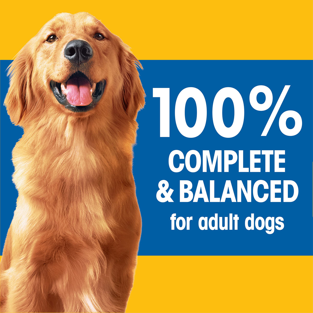 Adult Dry Dog Food Roasted Chicken Rice & Vegetable Flavor Kibble 16 lb. Bag N569580
