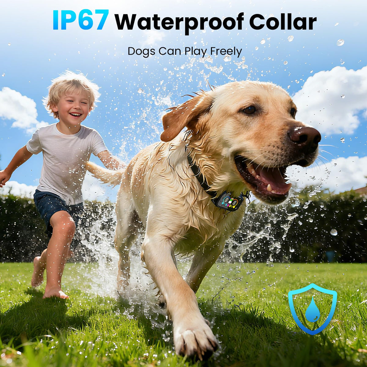 2-in-1 Dog Bark Collar with Remote, 3 Modes, IP67 Waterproof Z846375