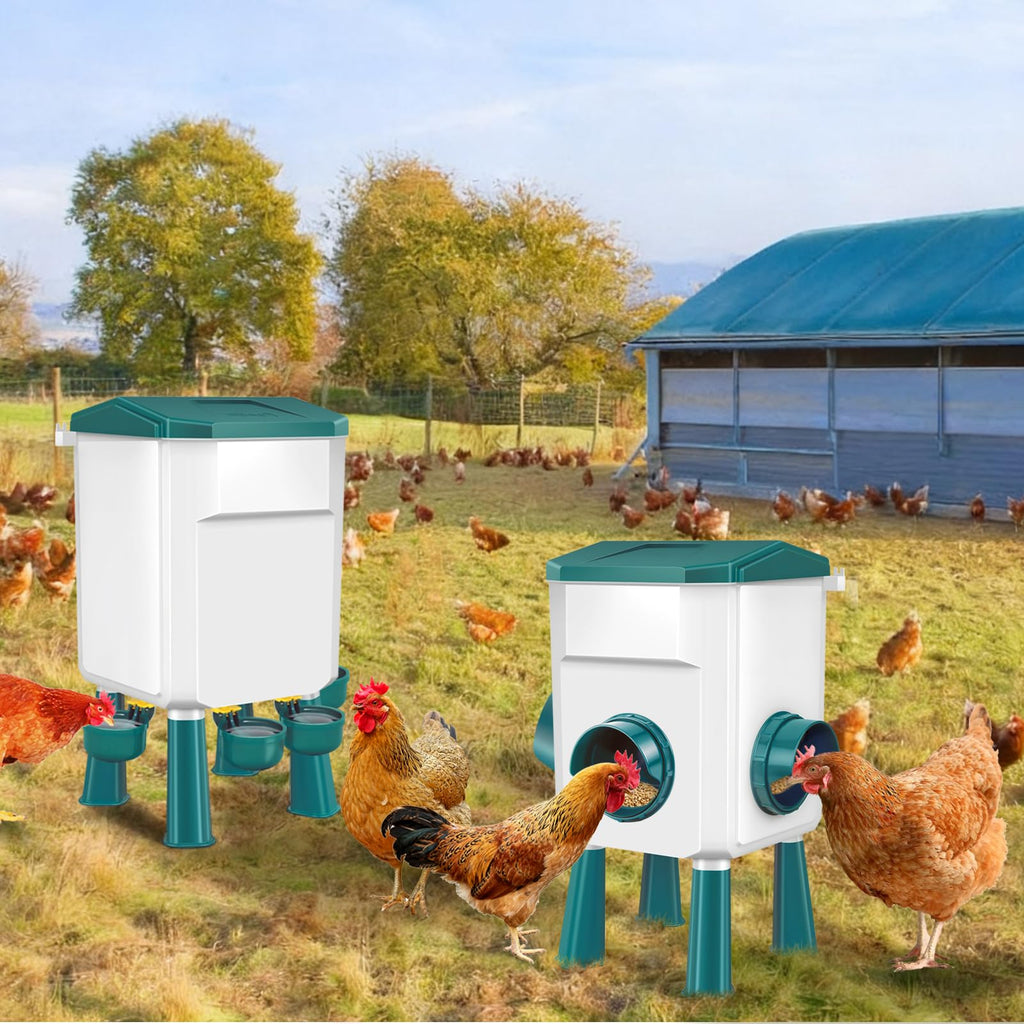 Chicken Feeder and Waterer Set 3 Gallon C605