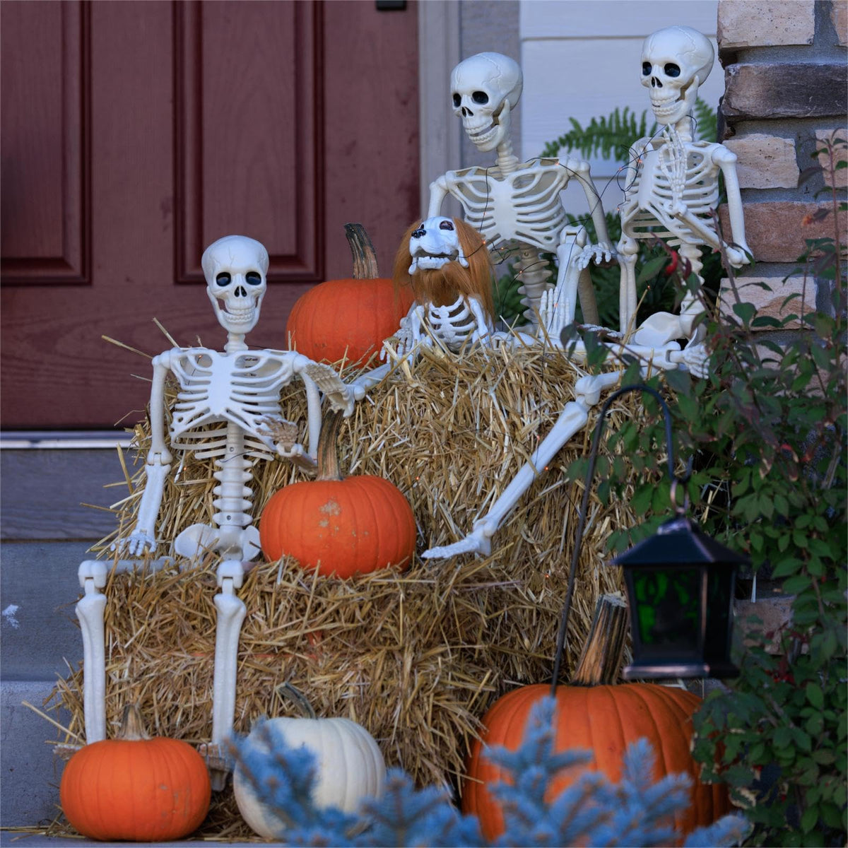 6 Pack Halloween Skeletons 3 5.4ft 3 3ft Y583
