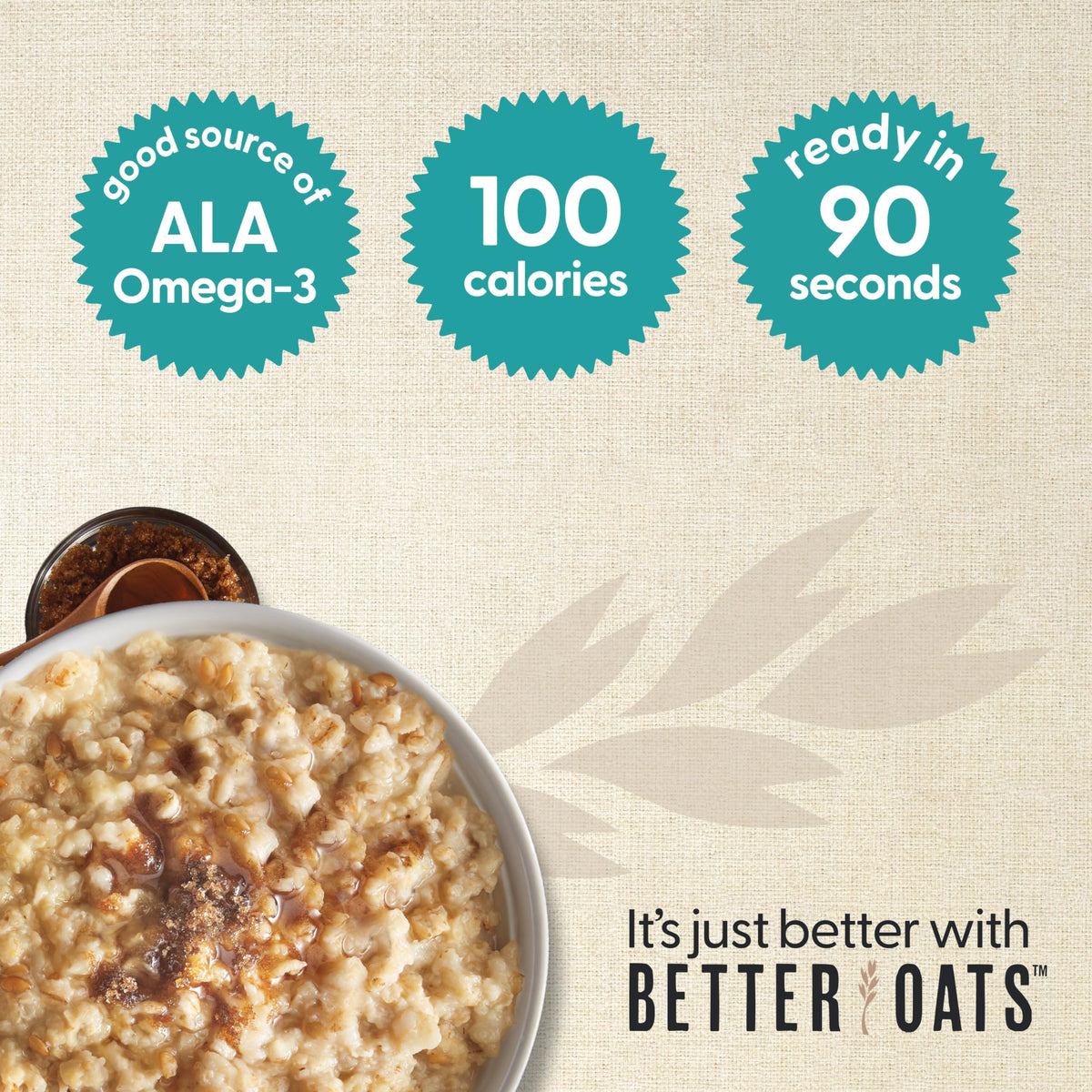 Maple & Brown Sugar Oatmeal 6 Pack P9836