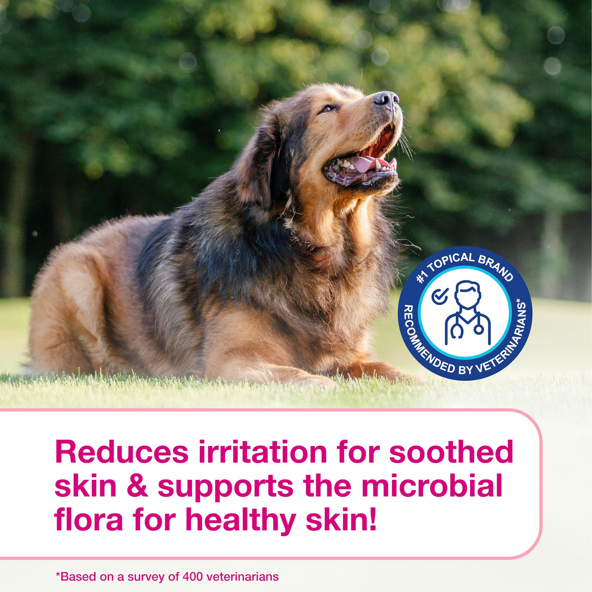 Dog Shampoo for Itchy Skin 6.7 fl oz S6974